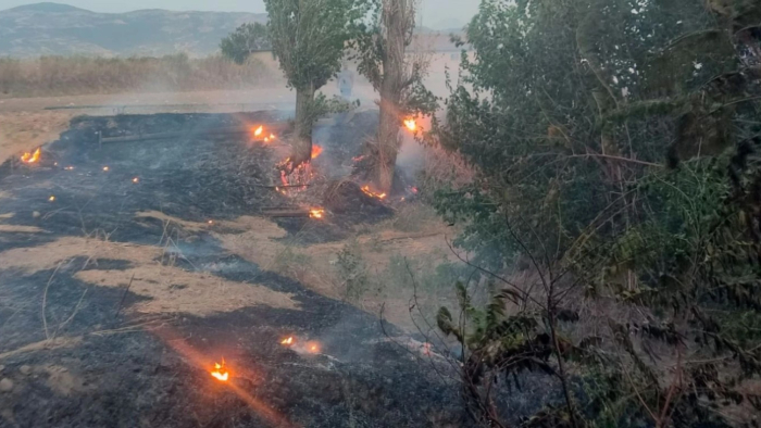 İzmir’in Ödemiş İlçesinde Yangın Paniği