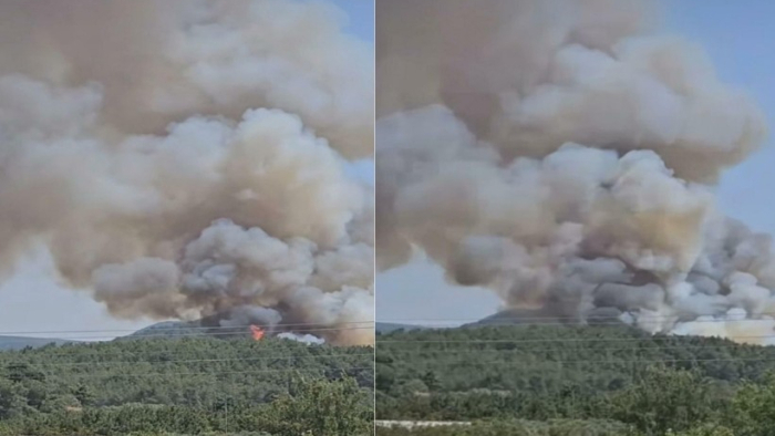İzmir’de Orman Yangını: Çok Sayıda Ekip Bölgeye Sevk Edildi